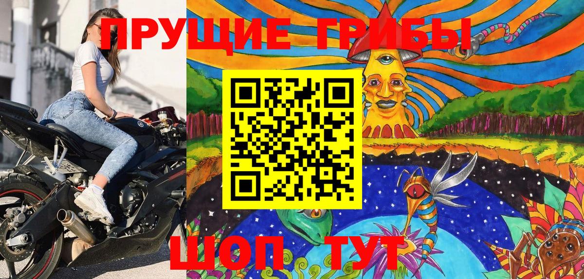 Галлюциногенные грибы GOLDEN TEACHER Камышлов