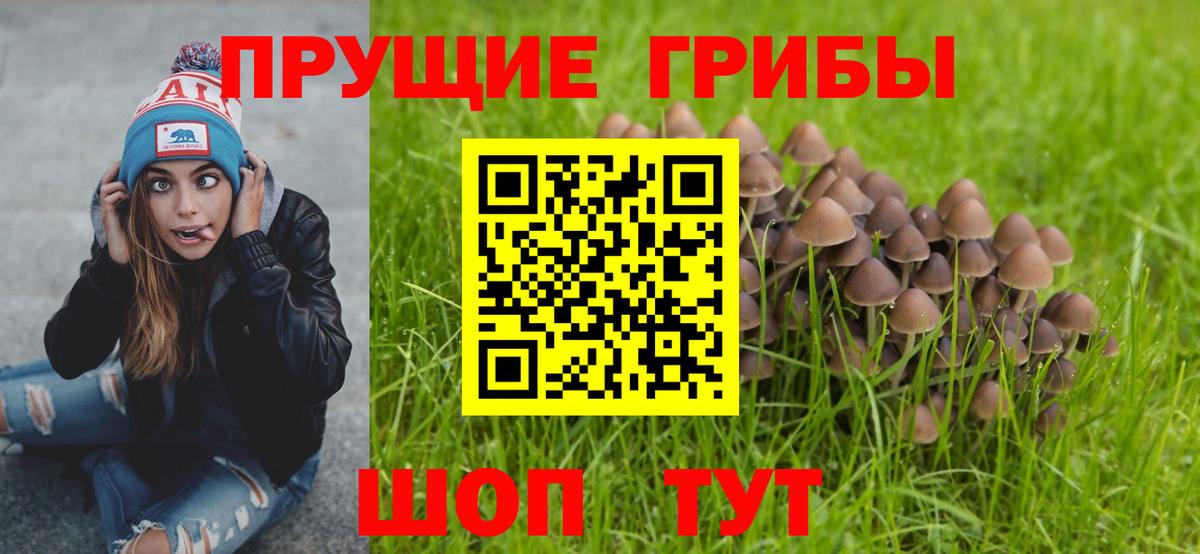 Галлюциногенные грибы ЛСД  Вход с VPN  Камышлов 