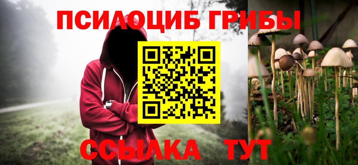 Псилоцибиновые грибы MAGIC MUSHROOMS  Галлюциногенные грибы GOLDEN TEACHER  Камышлов 